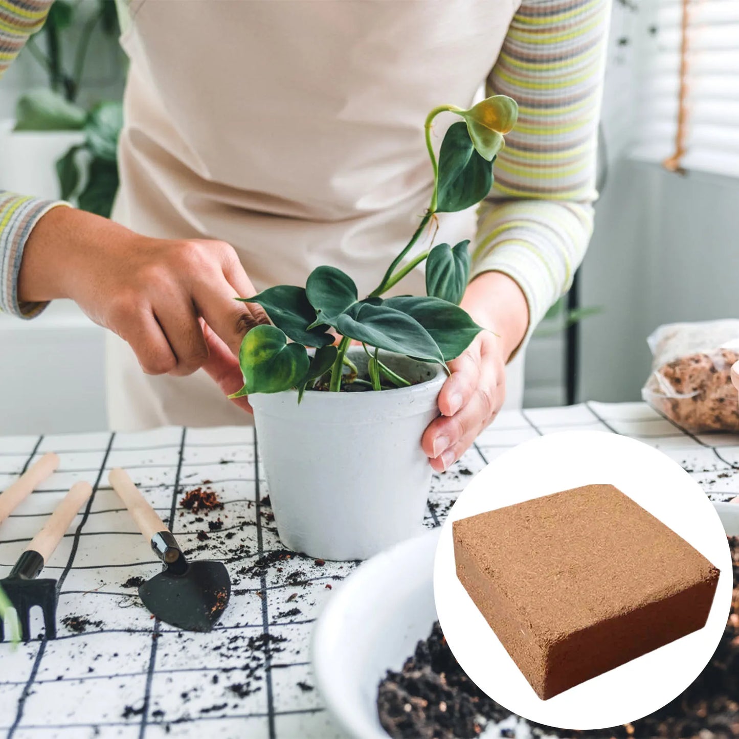 Coconut Coir Soil Alternative – Soilless Culture & Nutrient Media for Outdoor Gardening